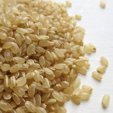 画像1: 令和５年度産　減農薬栽培　新米ひのひかり　3kg (1)