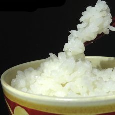 画像3: 令和3年度産　無農薬・有機栽培米　新米ひのひかり　５kg (3)
