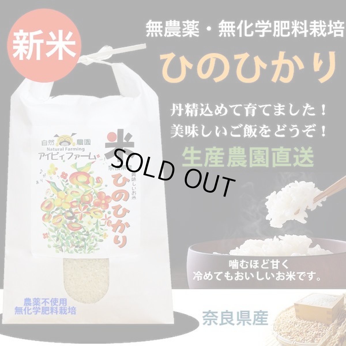 画像1: 令和６年度産　無農薬・無化学肥料栽培　新米ひのひかり　５kg (1)