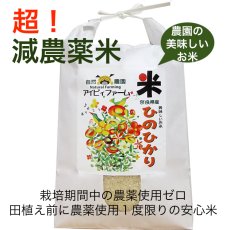 画像1: 令和６年度産　減農薬栽培米ひのひかり　10kg (1)