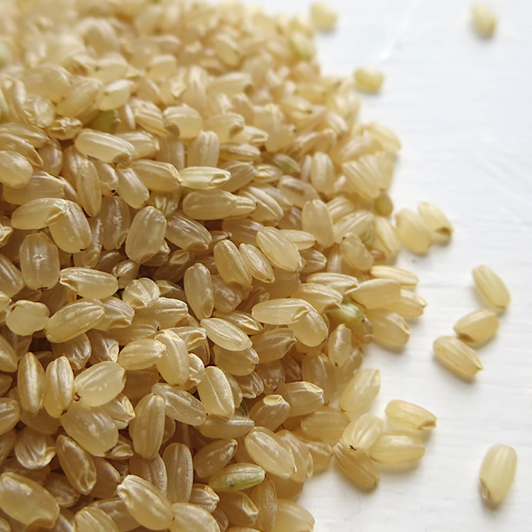 画像1: 令和3年度産　減農薬米　新米ひのひかり　3kg (1)